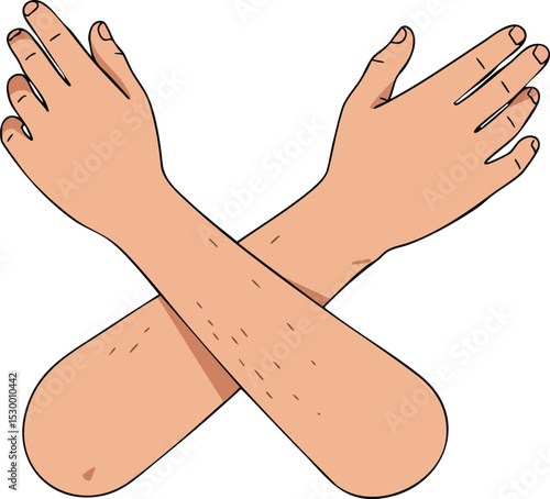 Human crossed arms gesture illustration showing defensive or refusal posture with natural skin tone vector image 