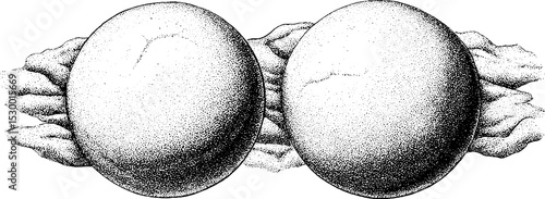 Arancini ball with breadcrumb texture and steam in vintage stipple art style