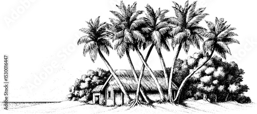 Serene beachside coconut grove with thatch shelter illustrating tropical escape
