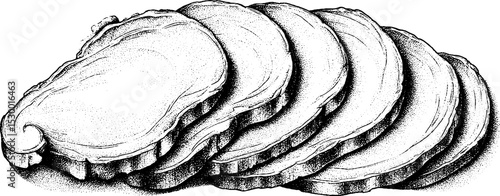 Dotwork art of sliced beef brisket with smoke rings for culinary design