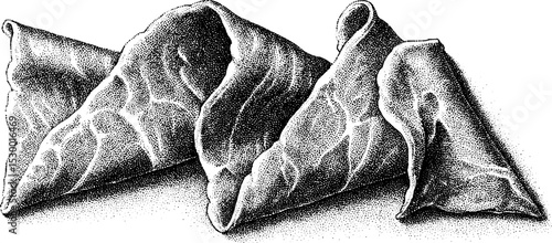 Gourmet beef carpaccio slice with fine garnish dotwork for culinary design