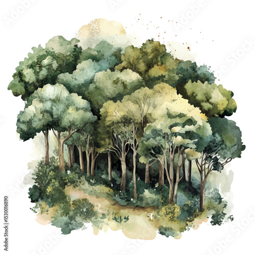 watercolor of Enchanted Forests, vector, isolated on a white background.