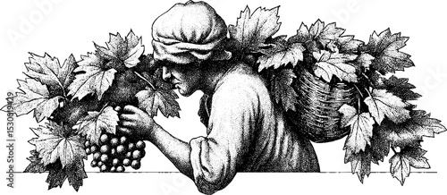 Harvest season: farmer carrying basket of grapes through vineyard for seasonal design