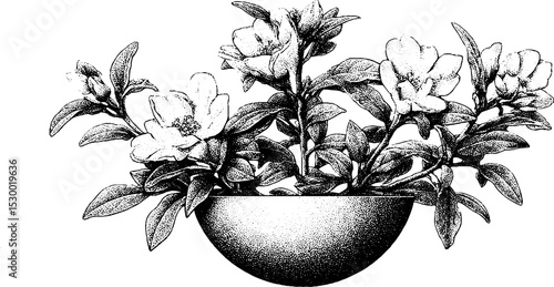 Intricate floral dotwork art featuring flowering hedge in sculpted sphere design