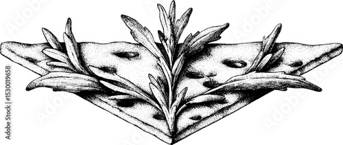 Rustic focaccia slice with rosemary and olive detail for culinary design