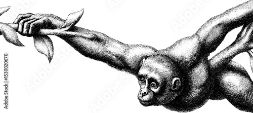 Gibbon swinging gracefully from branch showcasing elongated limbs in detailed art
