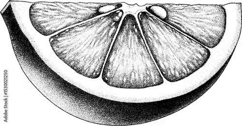 Grapefruit wedge with seeds in dotwork tattoo style for artistic design