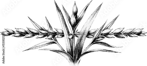 Dotwork tattoo design featuring grass blade cluster with dew drops