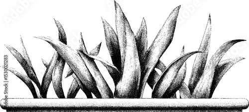 Botanical dotwork tattoo design featuring grass blade cluster with dew drops