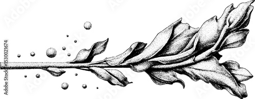 Swirling frost particles with icy wind gusts for winter design concepts