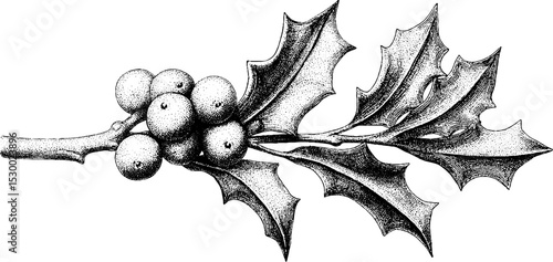 Mistletoe sprig with berries in dotwork tattoo style for holiday design