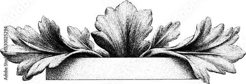 Ornate carved floral motif frame design for elegant decor