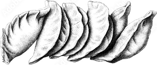 Crispy pan fried gyoza illustration with steam
