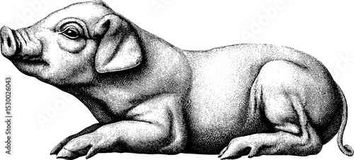 Piglet dotwork tattoo design in blackwork line art style for artistic inspiration