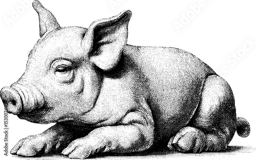 Detailed piglet dotwork tattoo design in blackwork line art style