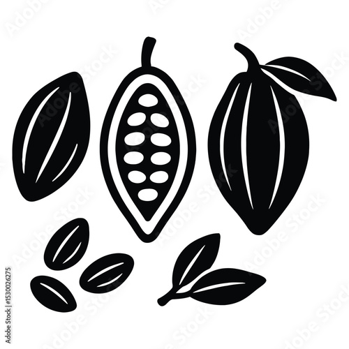 Vector illustration of cocoa beans pods leaves and seeds black and white design