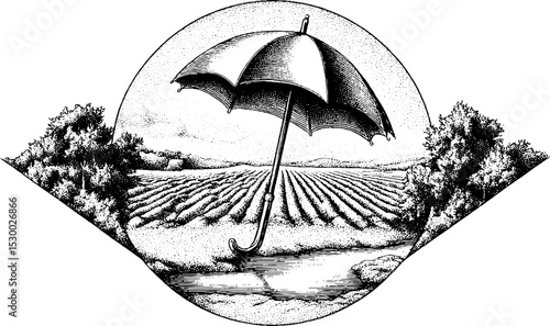 Serene rainy farm scene with umbrella beside ploughed field