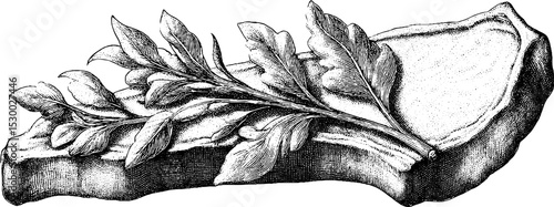 Roast pork chop with herb sprig in dotwork style for culinary design
