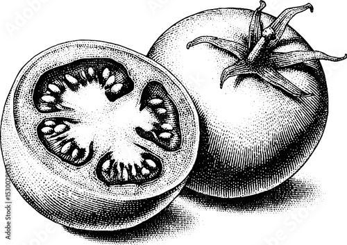 Artistic dotwork of sliced ripe tomato with seeds for tattoo design inspiration