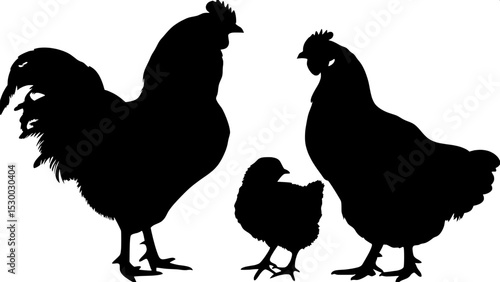 "Cleanly rendered silhouettes of poultry, arranged to show contrast in form and scale, from chicks to full-grown roosters, all in black on a white background."