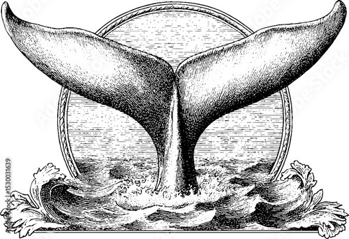 Whale tail fluke emerging with splash in vintage style illustration