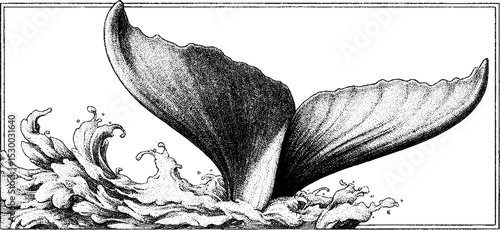 Whale tail fluke splashing in ocean water with dramatic waves