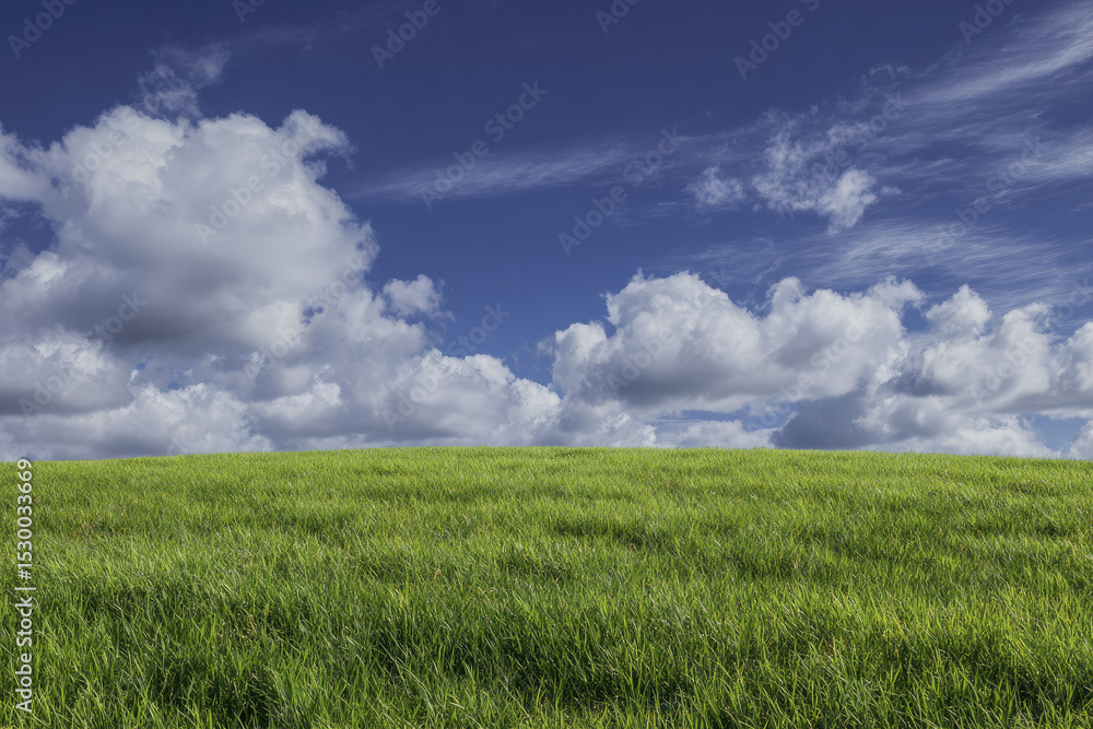 Lush Green Grassland Under a Dramatic Sky Lush Green Grassland Under a Dramatic Sky