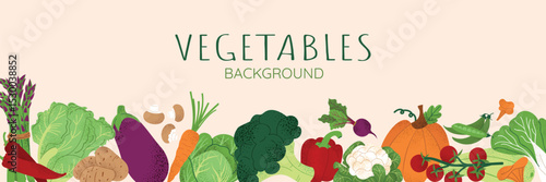 Vegetable banner with healthy organic food. Natural veggies of summer and autumn seasons. Fresh pumpkin, tomato, broccoli, cabbage, peas, mushrooms. Hand drawn illustration on pastel background.