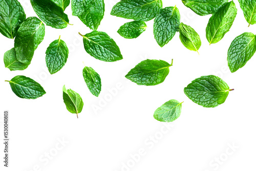 Falling mint leaves nature setting food fresh ingredients top-down culinary inspiration isolated on transparent background
