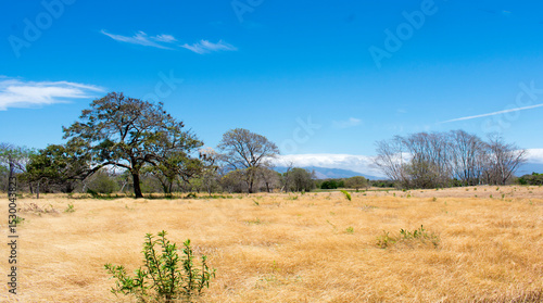 Guanacaste landscape Costa rica