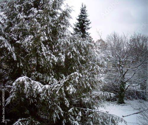 JENOPTIK DIGITAL CAMERA