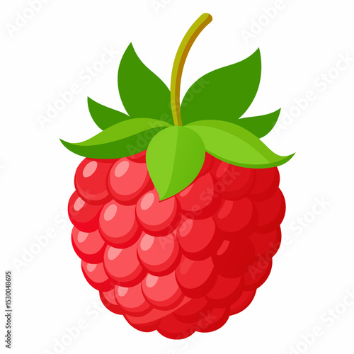 Detailed illustration of a single ripe red raspberry with attached green leaves and stem isolated on