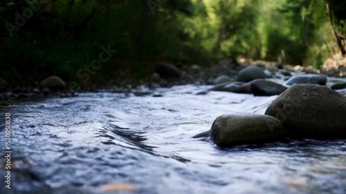 Apacible riachuelo dentro del bosque