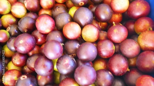 PRIMER PLANO CAMU CAMU BAYA SELVTICA (Myrciaria dubia), TINGO MARIA PERU.	