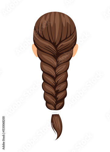 Back View Brown Braided Hairstyle