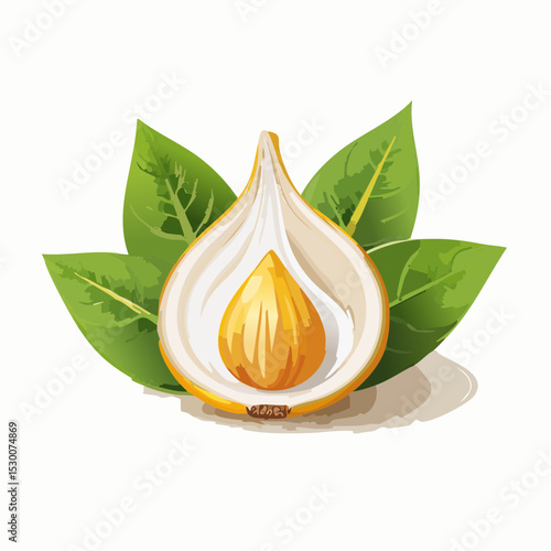 Halved Hazelnut with Leaves High-Resolution Illustration