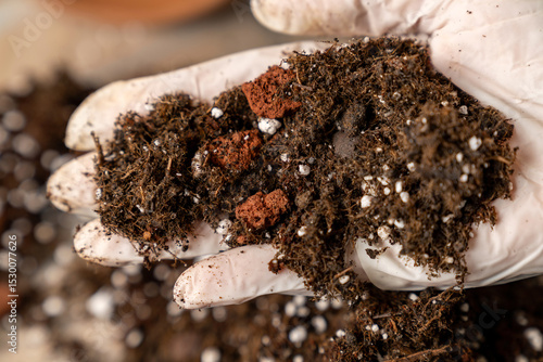 Fotografie Hand in glove holding organic potting soil with perlite and clay, gardening mix for indoor plants, horticulture or agriculture background
