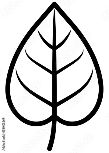 Intricate black line art of a leaf showcasing minimalistic design and organic beauty in a soothing, elegant representation of nature