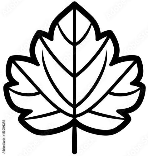Elegant black line art of a maple leaf reflecting the beauty of nature's design in a minimal aesthetic