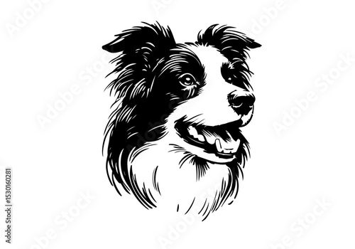 Border Collie dog hand drawn sketch  vector illustration