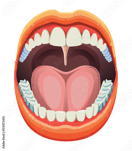 Human Throat Inside Mouth Detailed Anatomy