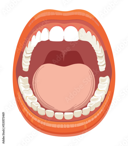 Wide Open Human Mouth Oral Examination