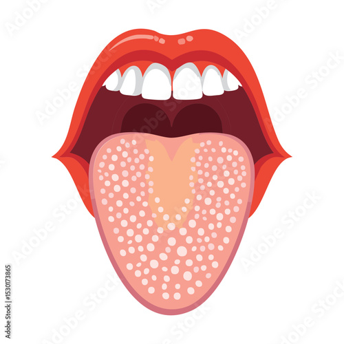 Tongue Surface Papillae Taste Buds