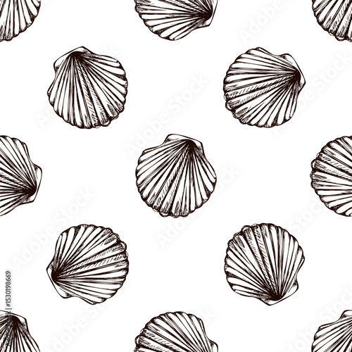 Hand drawn vintage seamless pattern of fan shaped scallop seashell in brown ink engraving style illustration