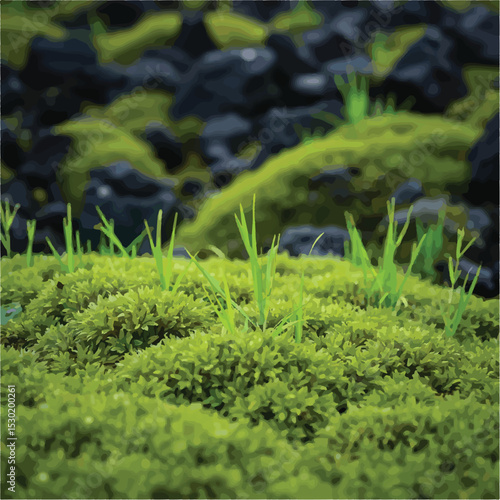 Lush Green Moss Growing on Volcanic Rocks A Nature Photography