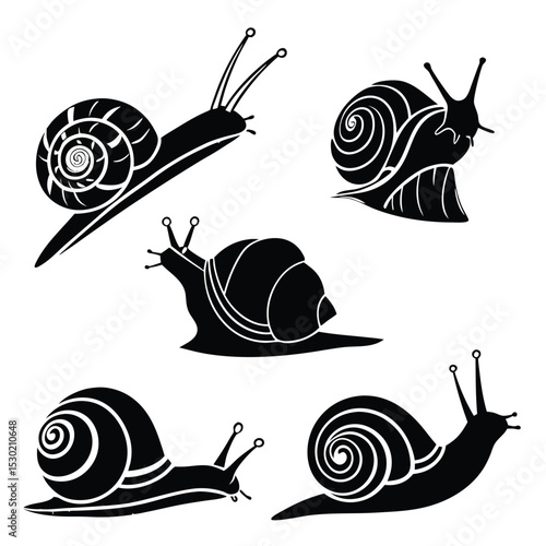 Black and white stylized illustrations of snails in different poses on a white background