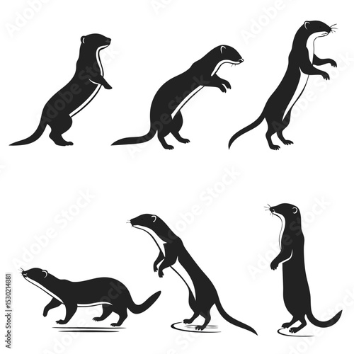 Vector illustration of black weasels in various poses against a white background design