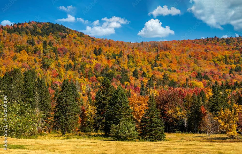 Fototapeta premium autumn in the mountains