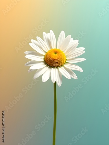 Daisy on a vibrant background, top view photorealistic flower