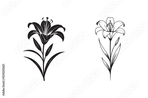 Lily Flower Silhouette and Line Art – Elegant Botanical Floral Vector Design